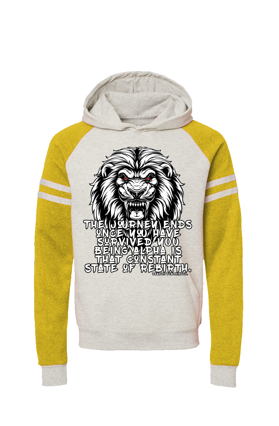 The Journey Colorblocked Raglan Hoodie