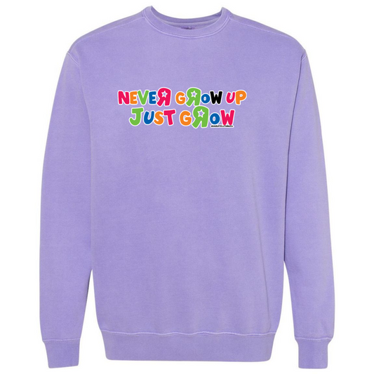 ToysRUs Comfort Colors Sweatshirt