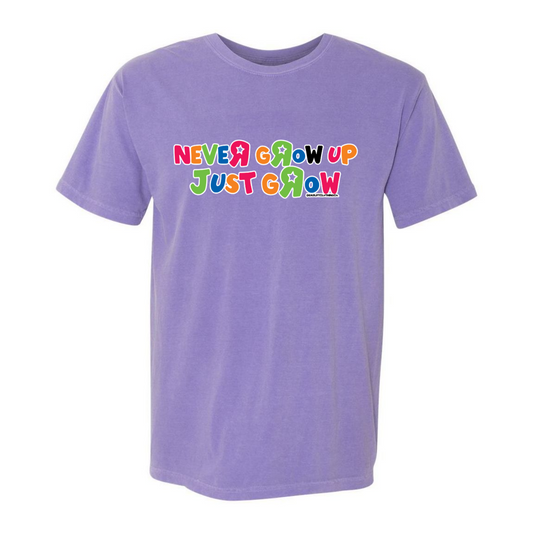 ToysRUs Comfort Colors T-Shirt