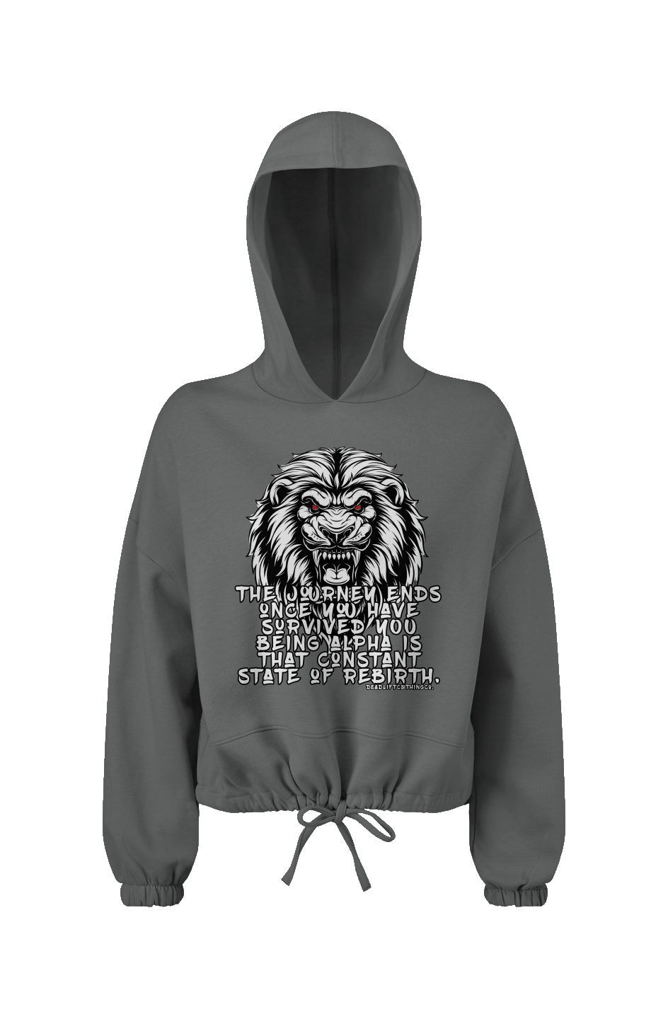 The Journey Cropped Oversize Hooded Sweatshirt