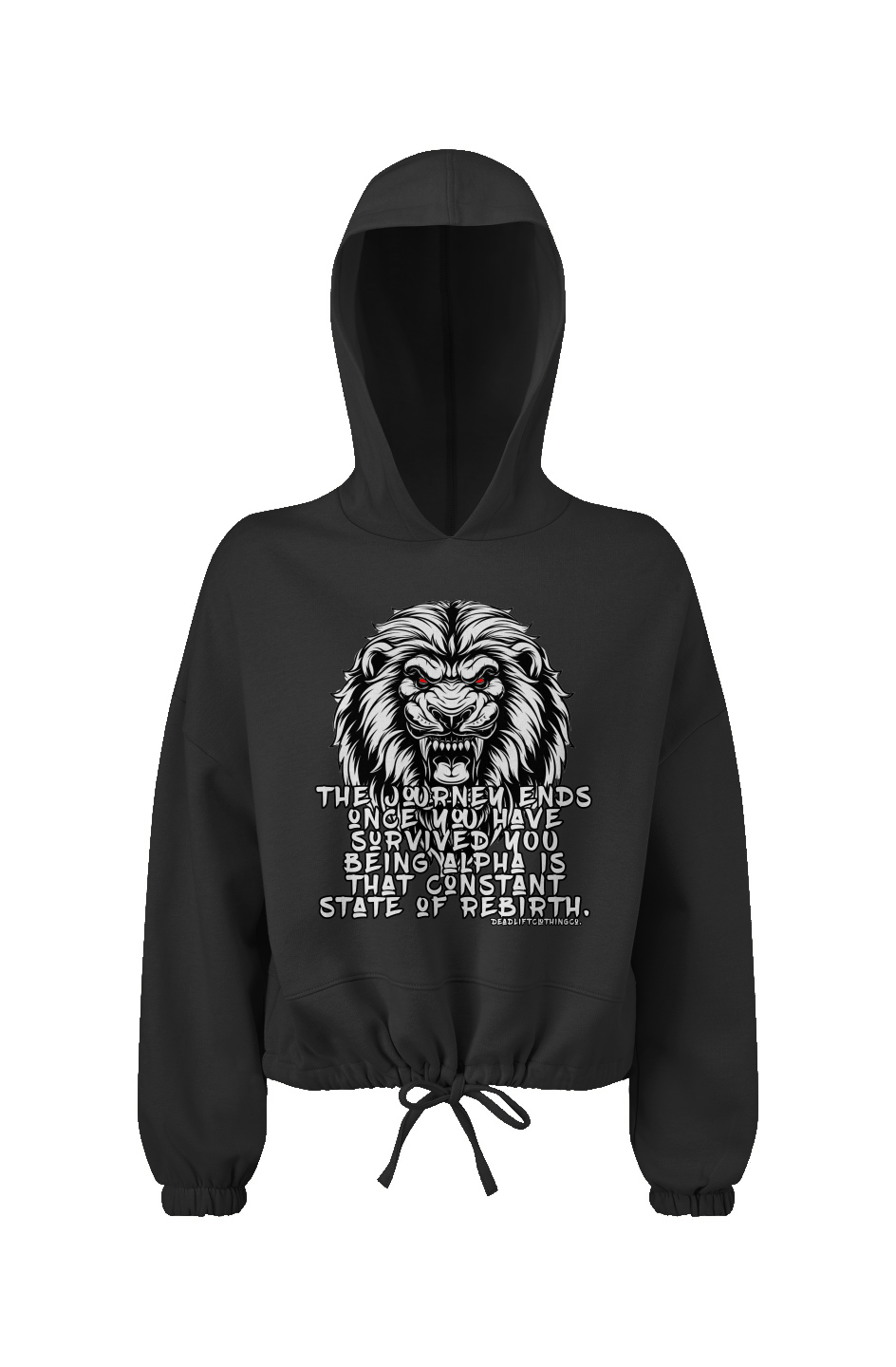 The Journey Cropped Oversize Hooded Sweatshirt