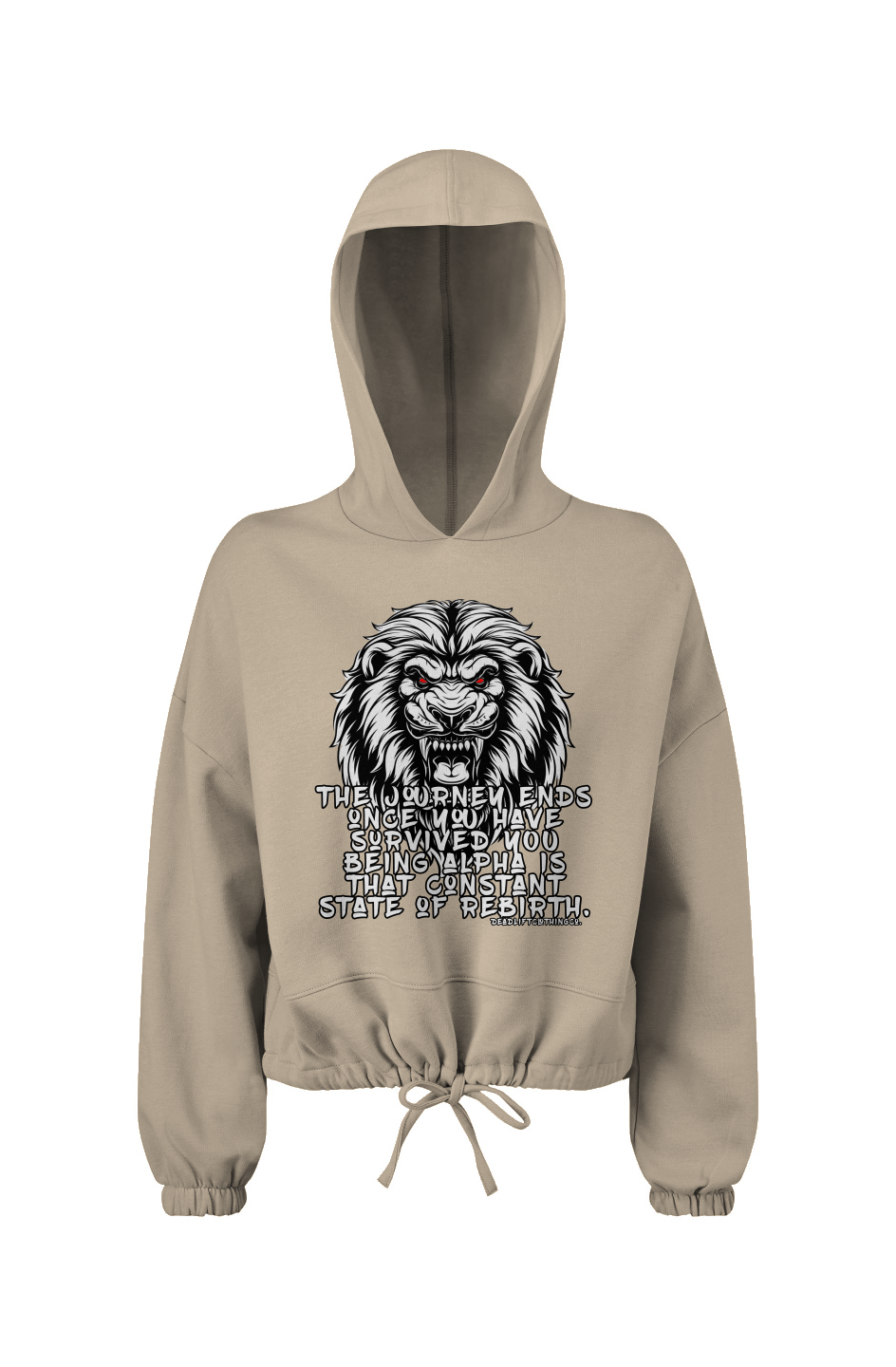 The Journey Cropped Oversize Hooded Sweatshirt