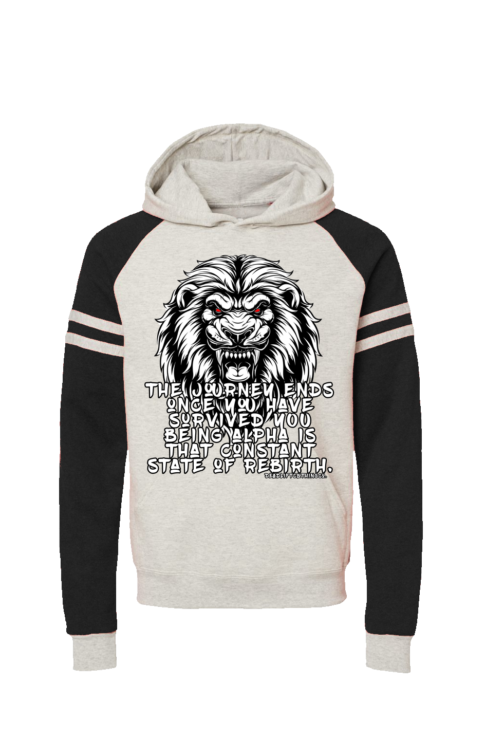 The Journey Colorblocked Raglan Hoodie