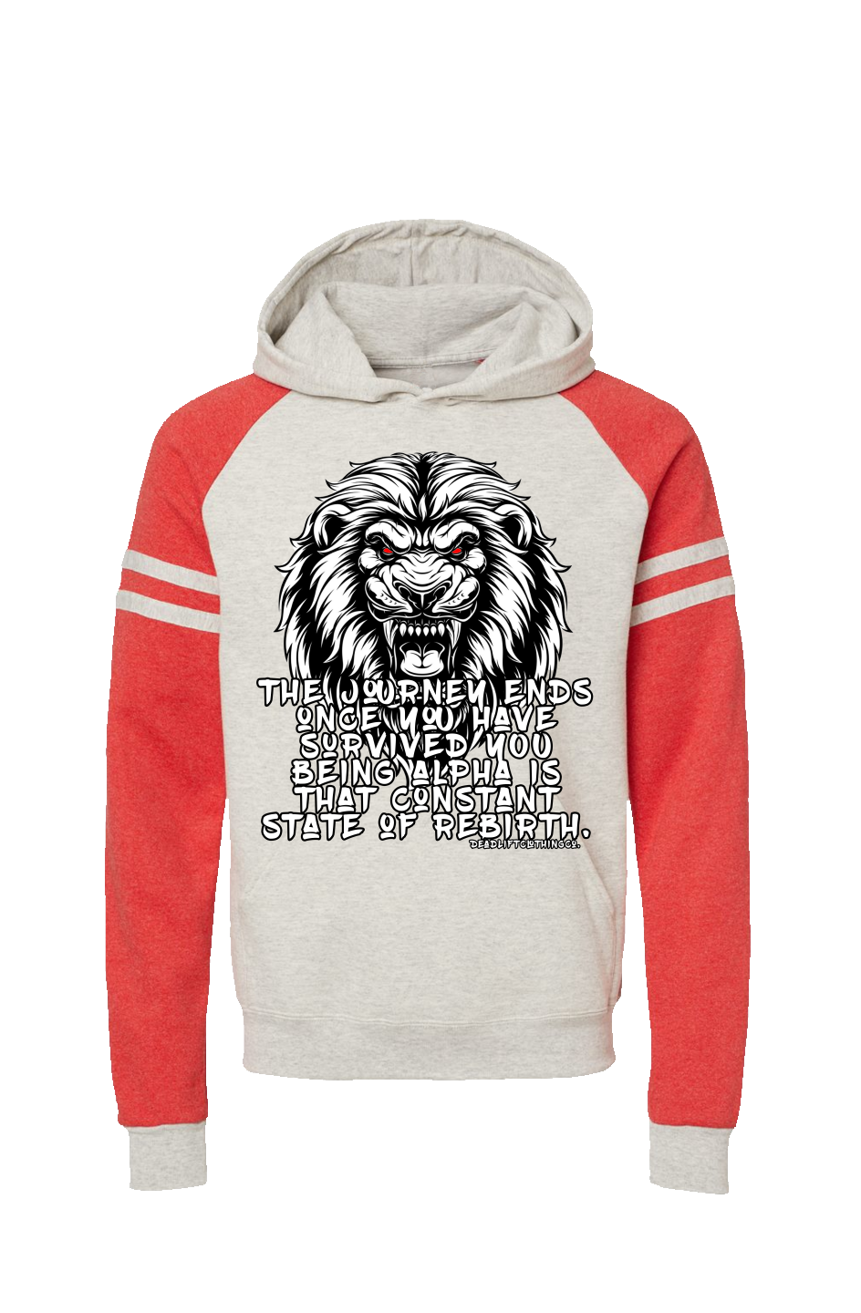 The Journey Colorblocked Raglan Hoodie