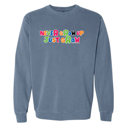 ToysRUs Comfort Colors Sweatshirt