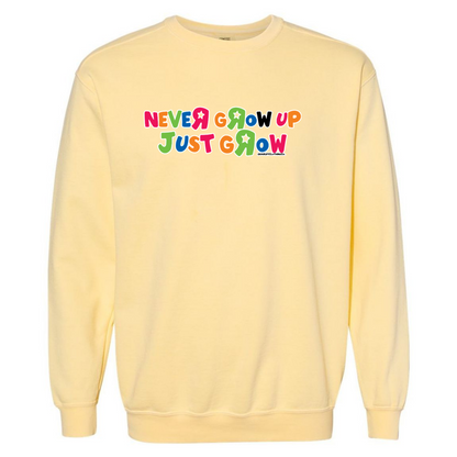 ToysRUs Comfort Colors Sweatshirt