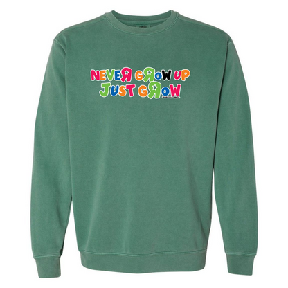 ToysRUs Comfort Colors Sweatshirt
